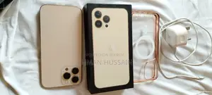 Apple iPhone 13 Pro Max 256 GB Gold