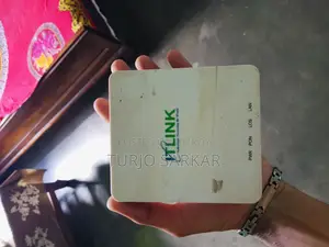 It Link Onu
