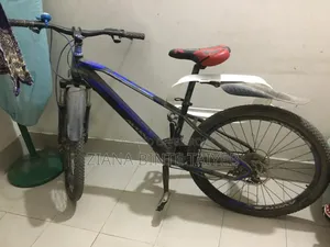এভন বাইসাইকেল