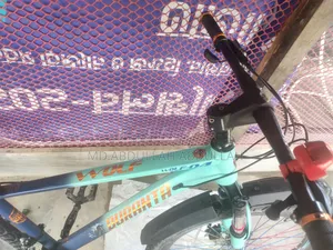 Duronto Bicycle