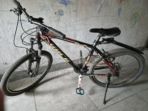 Core Project 1.0 Cycle