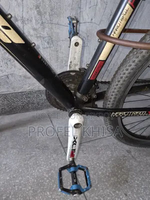 Core Project 1.0 Cycle