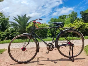 Phoenix 28" Single Frame Full Serviced Cycle – Office Ready