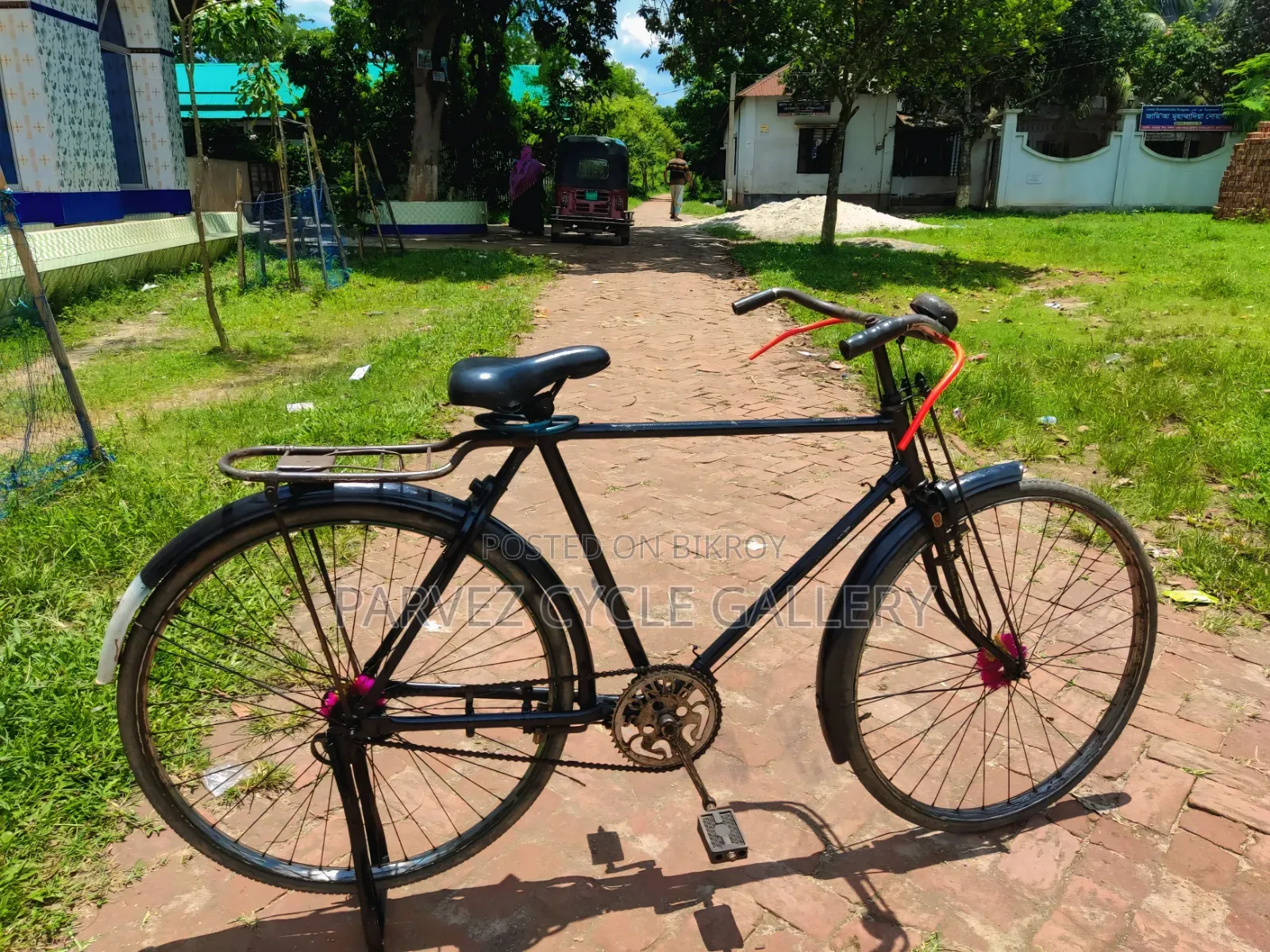 Phoenix 28" Single Frame Full Serviced Cycle – Office Ready