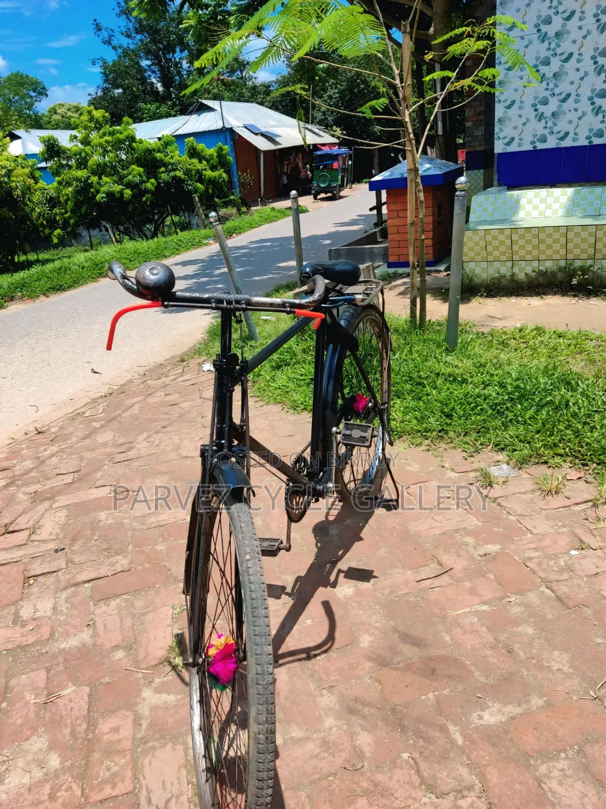 Phoenix 28" Single Frame Full Serviced Cycle – Office Ready