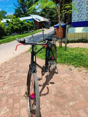 Phoenix 28" Single Frame Full Serviced Cycle – Office Ready