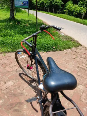 Phoenix 28" Single Frame Full Serviced Cycle – Office Ready