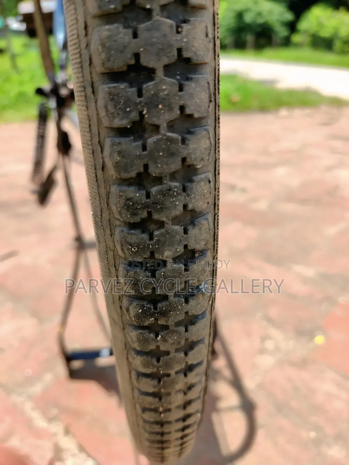 Phoenix 28" Single Frame Full Serviced Cycle – Office Ready