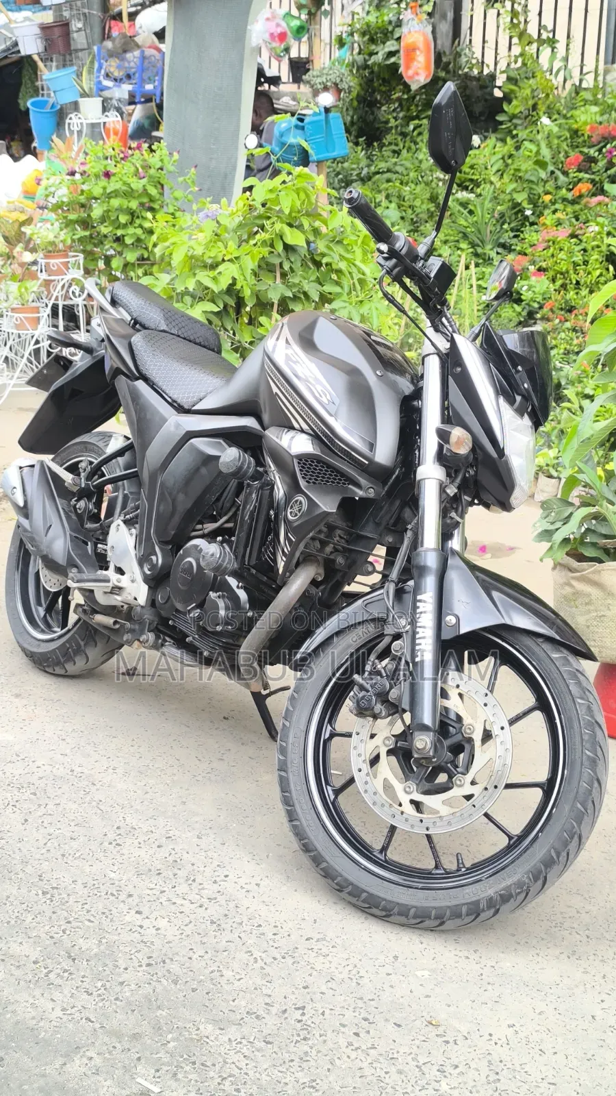 Yamaha FZ6 2023 Blue