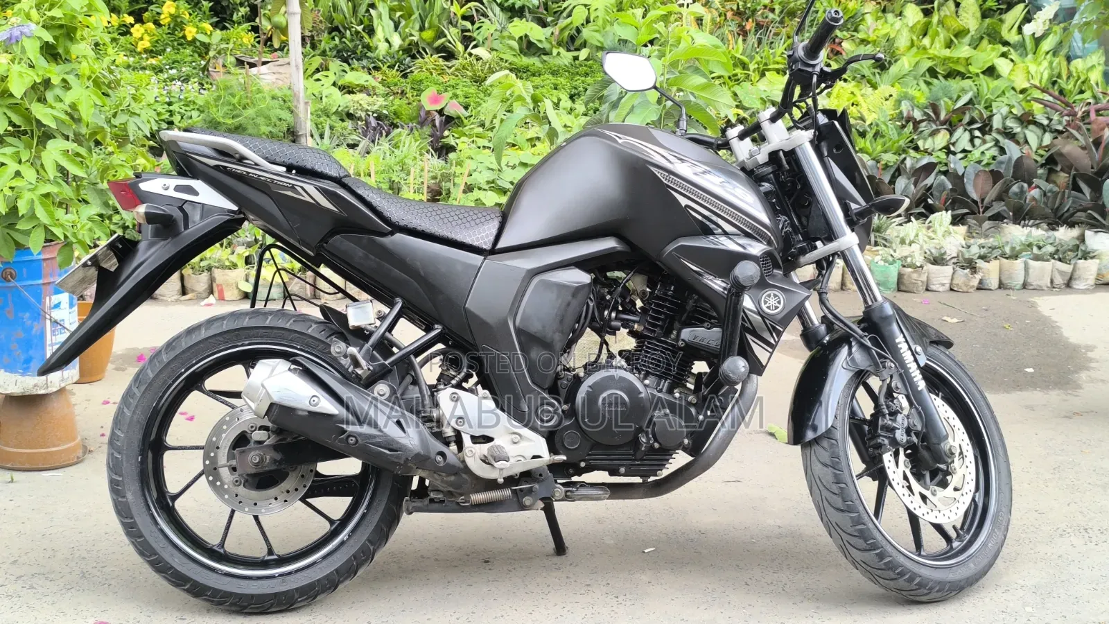 Yamaha FZ6 2023 Blue