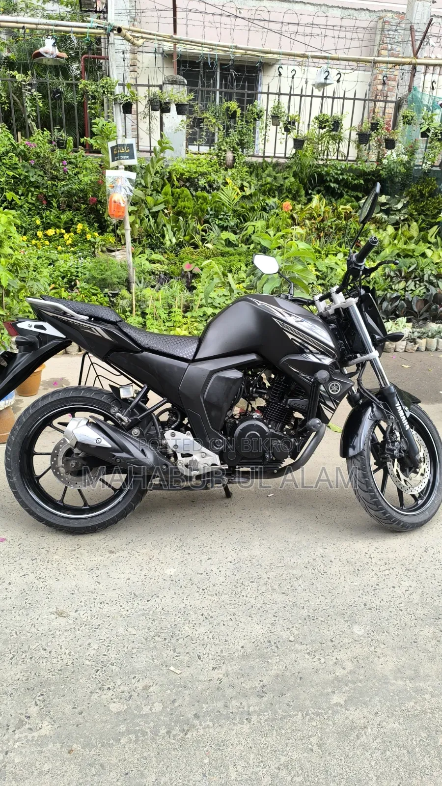 Yamaha FZ6 2023 Blue