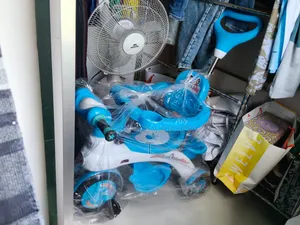 Baby Tricycle