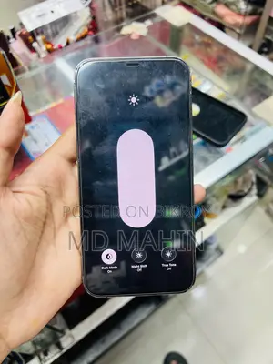অ্যাপল আইফোন ১২ প্রো ম্যাক্স ২৫৬ জিবি