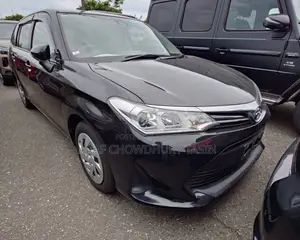 Toyota Corolla Fielder 2021 Black