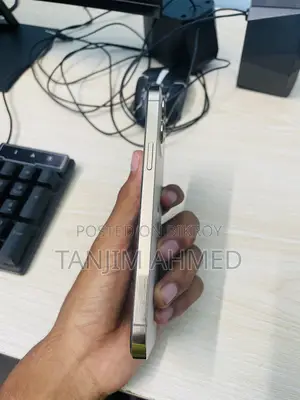 অ্যাপল আইফোন ১২ প্রো ম্যাক্স ১২৮ জিবি রোজ গোল্ড