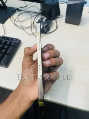 অ্যাপল আইফোন ১২ প্রো ম্যাক্স ১২৮ জিবি রোজ গোল্ড