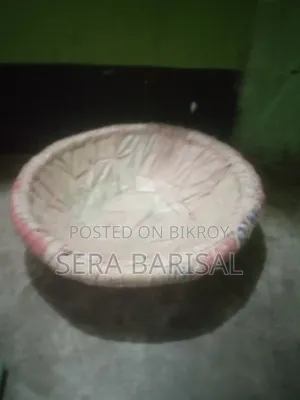 Duck or Basket