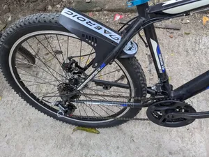 26 Inch Gear Cycle