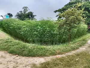 নরসিংদীতে সম্পত্তি
