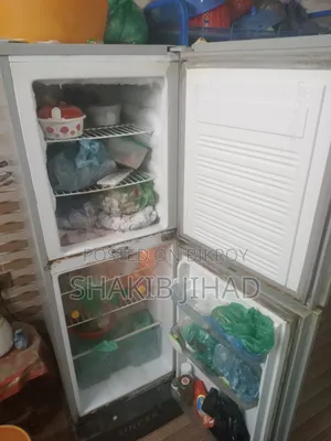 Refrigerator Singer