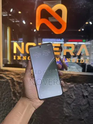 Xiaomi 15 Pro 512 GB Gray