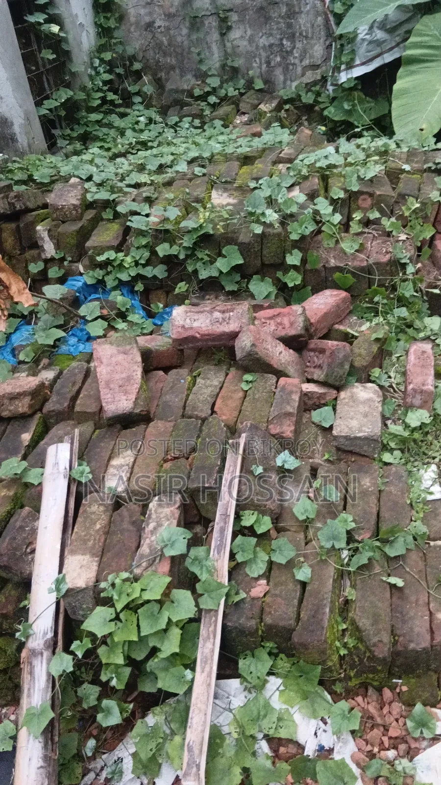 Old bricks, good bricks, good brand