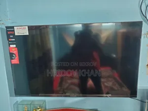 Singer 43 inch TV