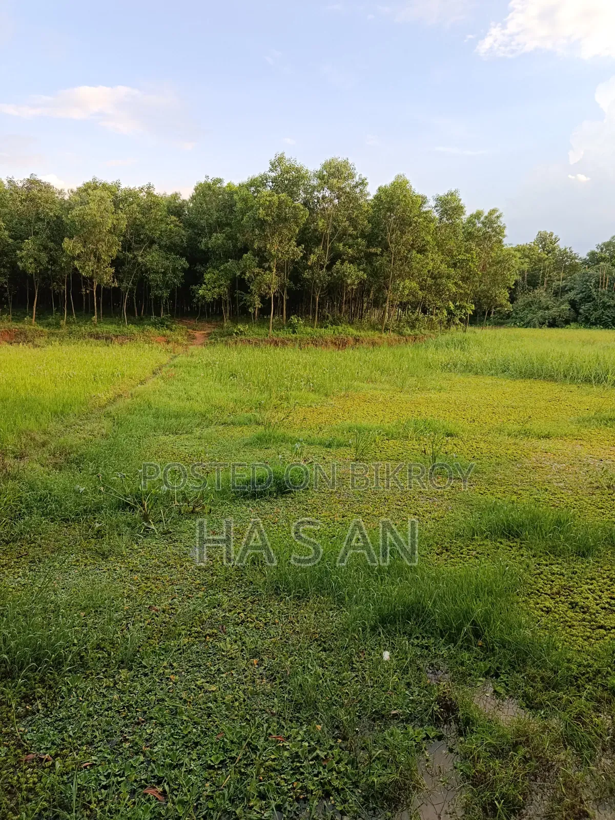5 Decimal Land for Sale in Gazipur 2.7 Lakh Per Decimal