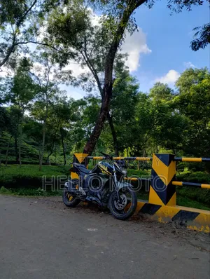 Yamaha FZ 2019 Green