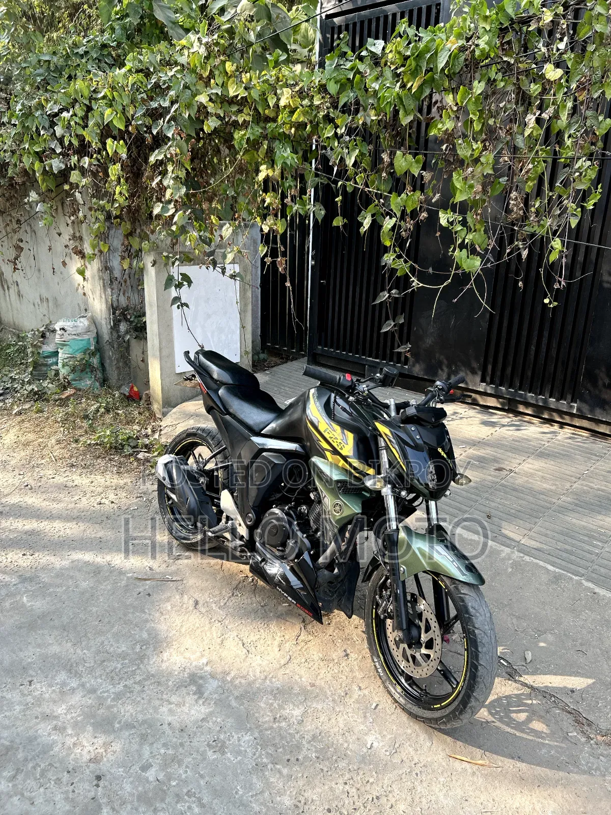 Yamaha FZ 2019 Green