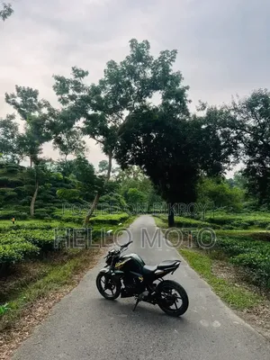 Yamaha FZ 2019 Green