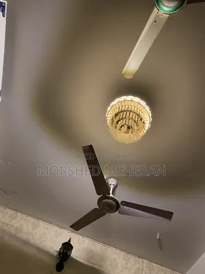 Room Light
