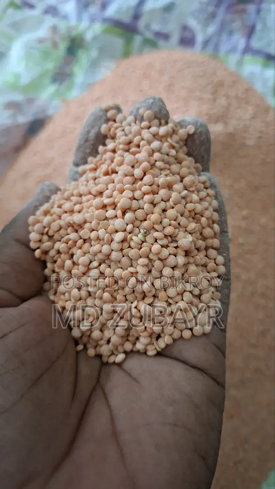 Desi Lentils (Hand-Broken)