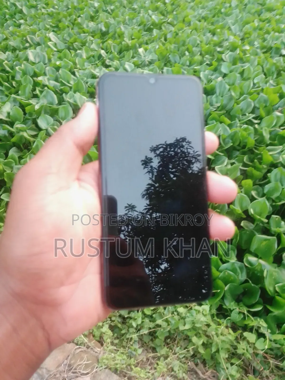 Vivo Y17 256 GB Pink