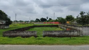 5 katha plot for urgent need on a low budget in Sector 11.