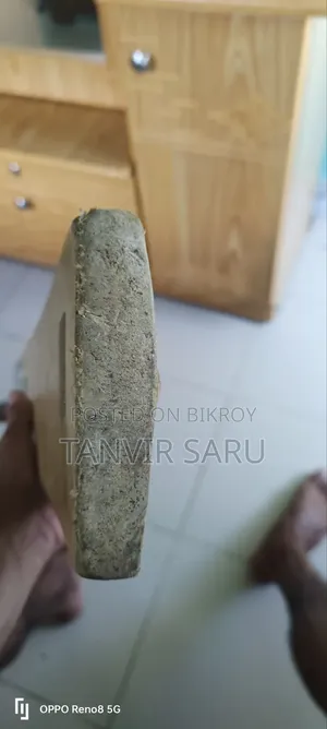 Cricket Bat Sg
