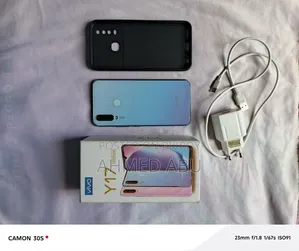 Vivo Y17 256 GB Pink