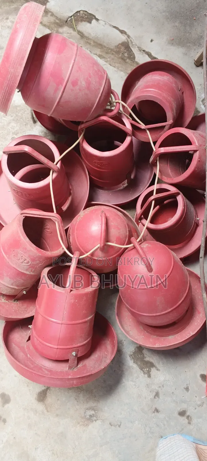 Poultry Farm Setup