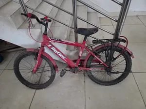 Rocky Reflex Cycle 20"