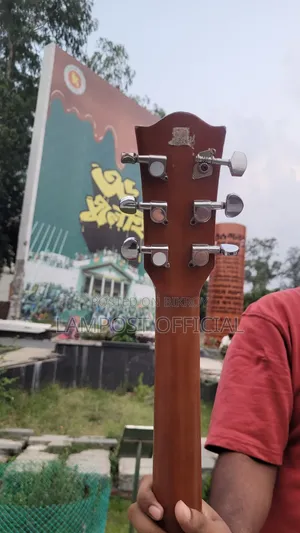 Deviser Guitar L720 Model