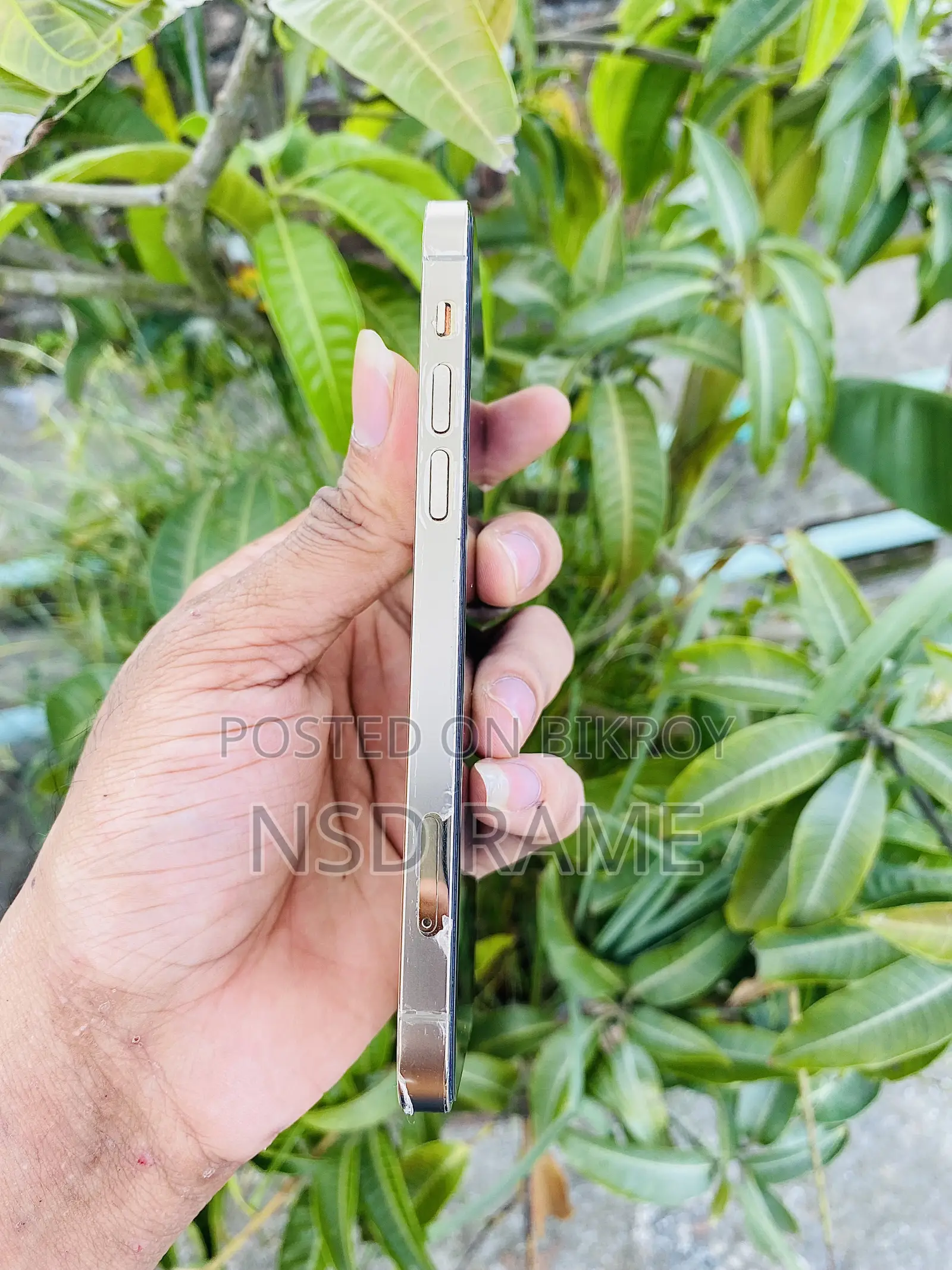 অ্যাপল আইফোন ১২ প্রো ২৫৬ জিবি রোজ গোল্ড