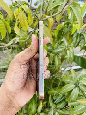 অ্যাপল আইফোন ১২ প্রো ২৫৬ জিবি রোজ গোল্ড