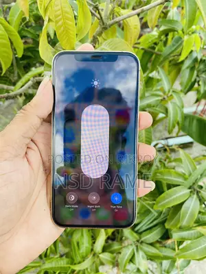 অ্যাপল আইফোন ১২ প্রো ২৫৬ জিবি রোজ গোল্ড