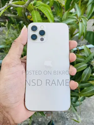অ্যাপল আইফোন ১২ প্রো ২৫৬ জিবি রোজ গোল্ড
