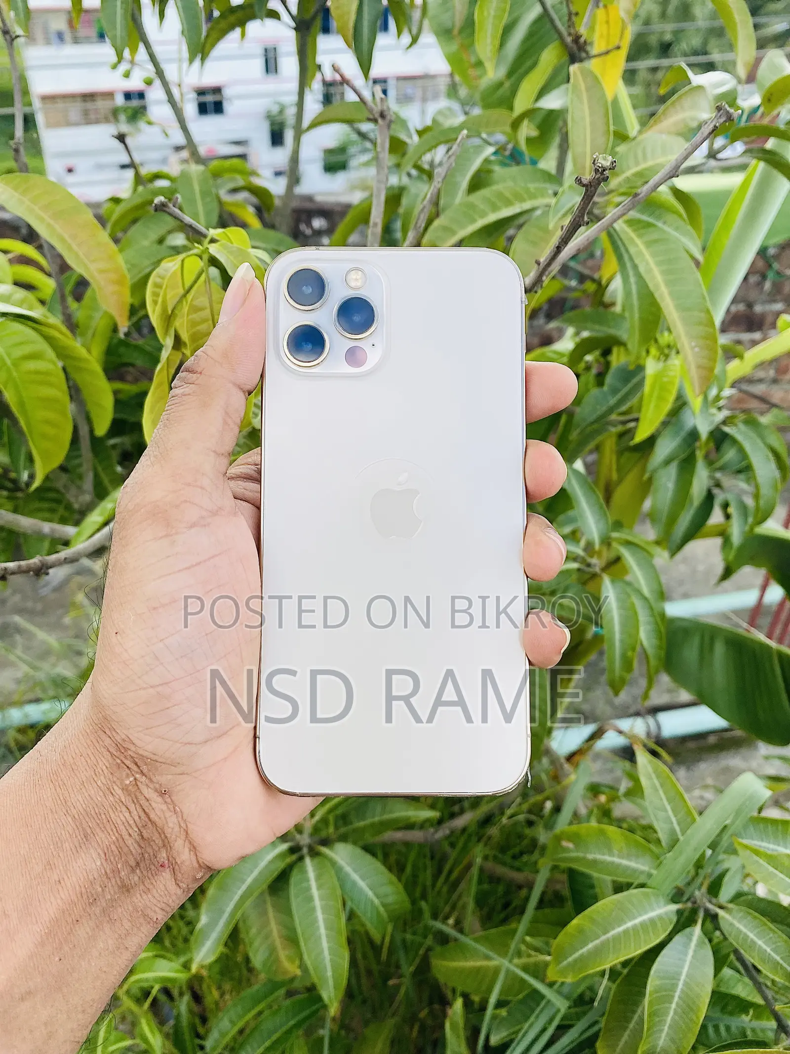 অ্যাপল আইফোন ১২ প্রো ২৫৬ জিবি রোজ গোল্ড