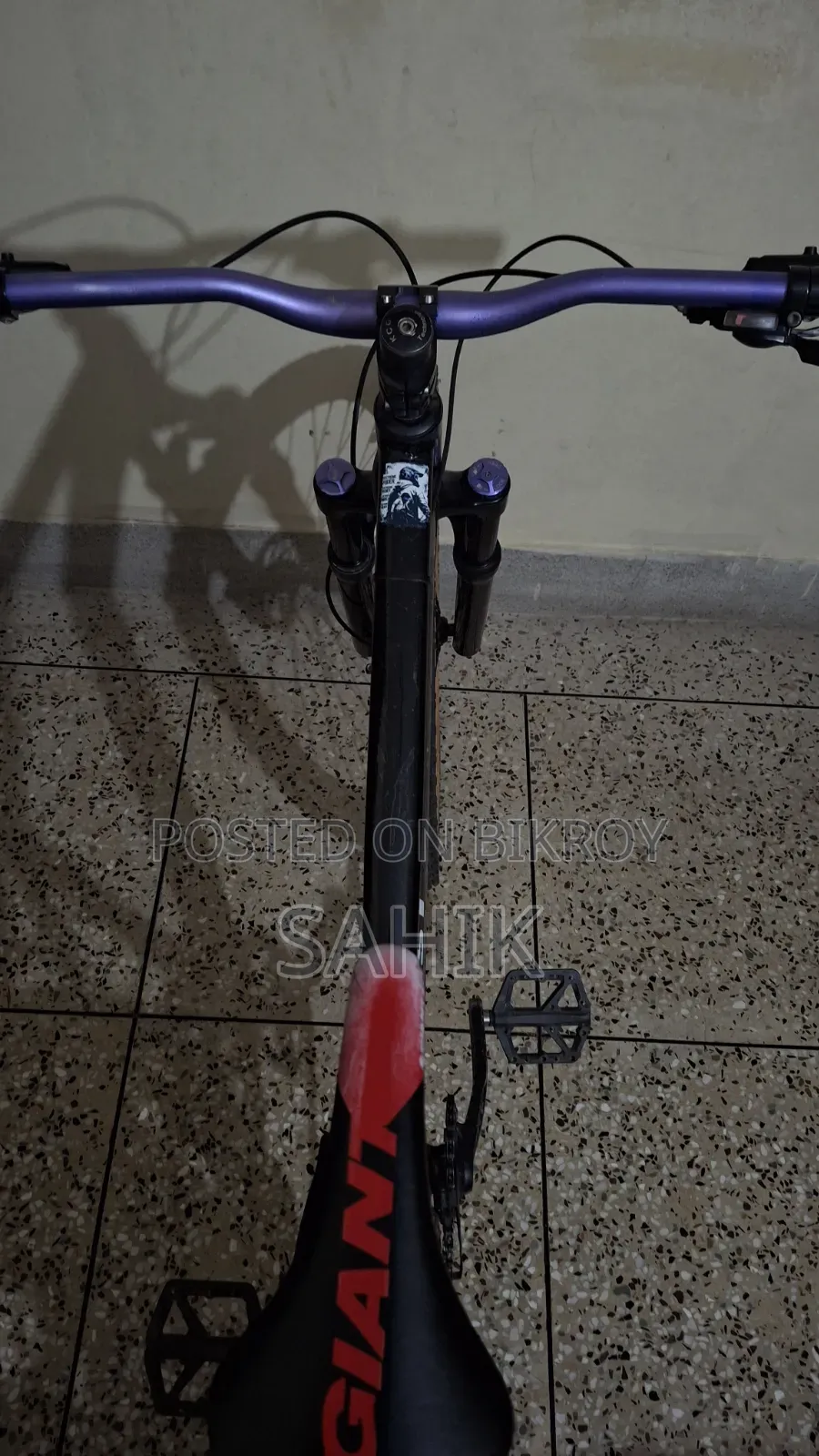 Mountain Bike ( Cycle )