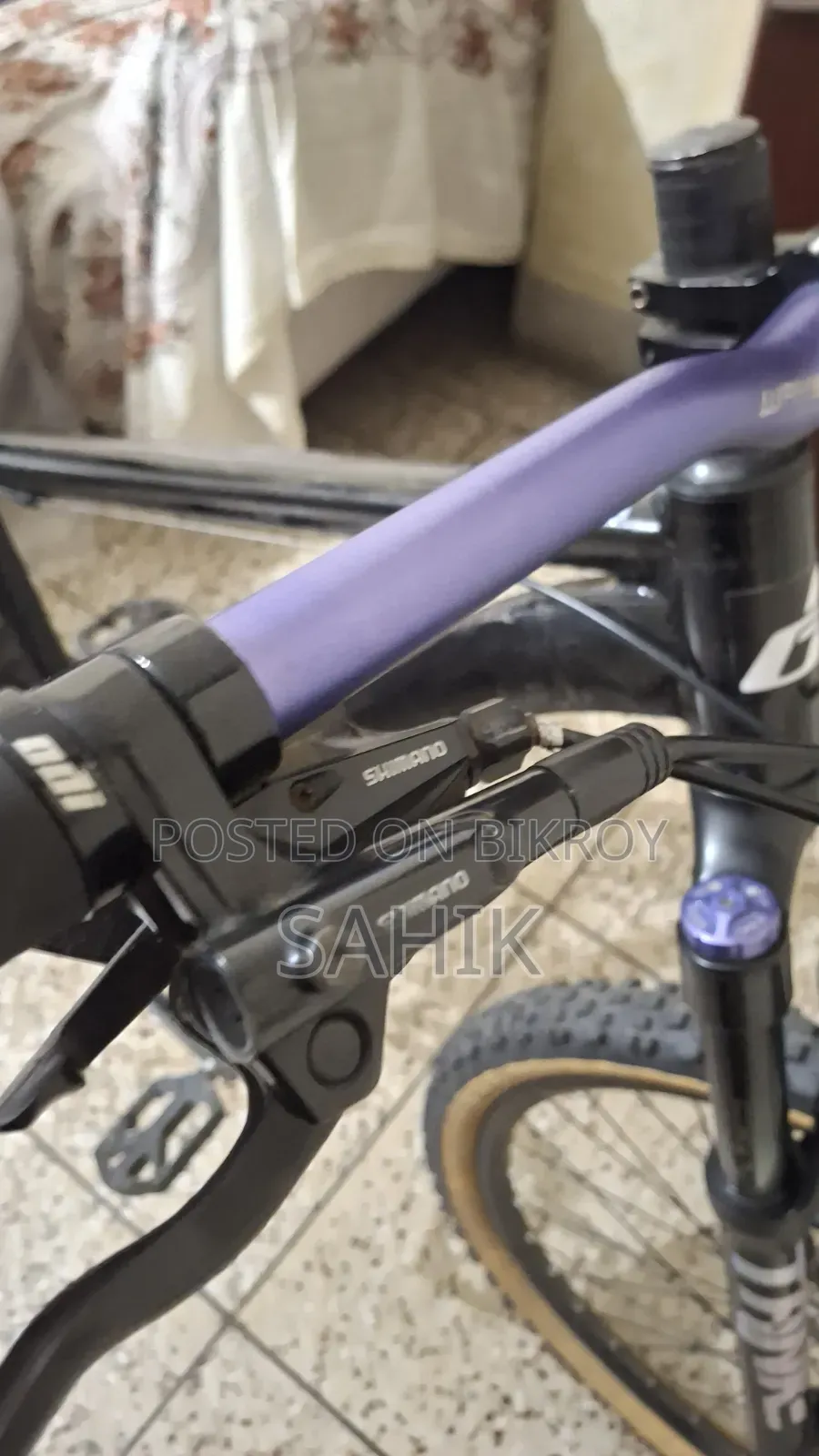 Mountain Bike ( Cycle )