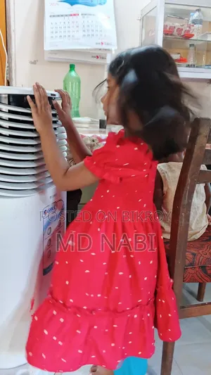 Air Cooler