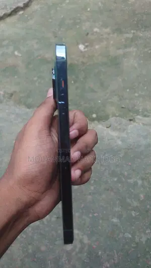 অ্যাপল আইফোন ১২ প্রো ম্যাক্স ১২৮ জিবি ব্লু