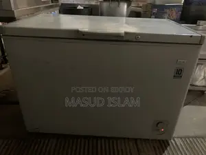 Lg Brand Deep Freeze for Sale